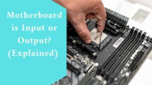 Motherboard is Input or Output? (Explained)