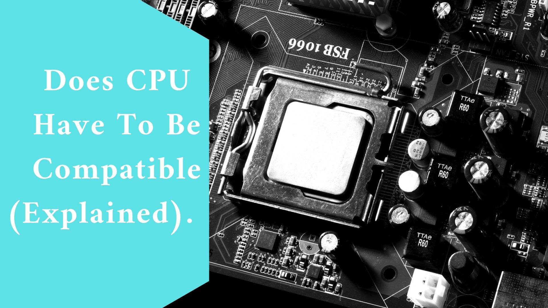 Does CPU Have To Be Compatible (Explained)