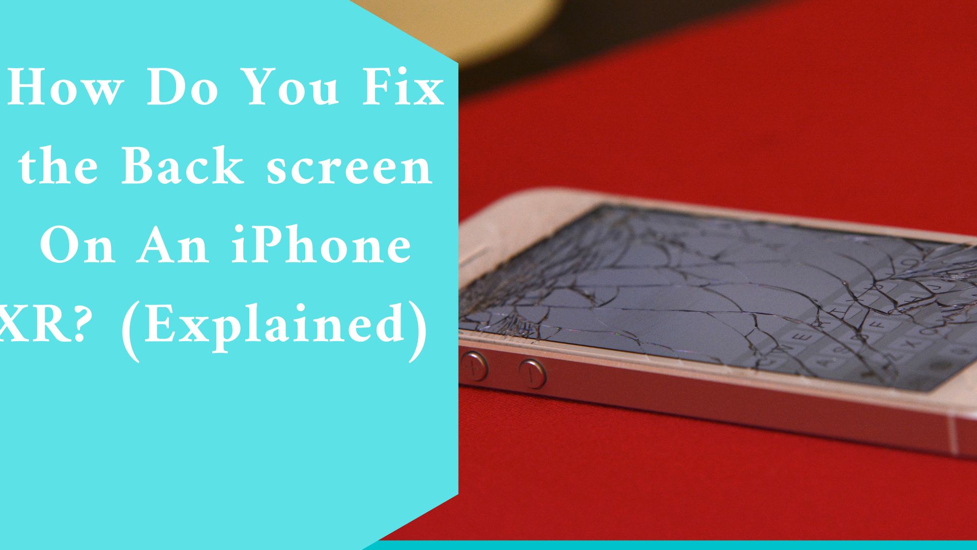 How Do You Fix the Back screen On An iPhone XR? (Explained)
