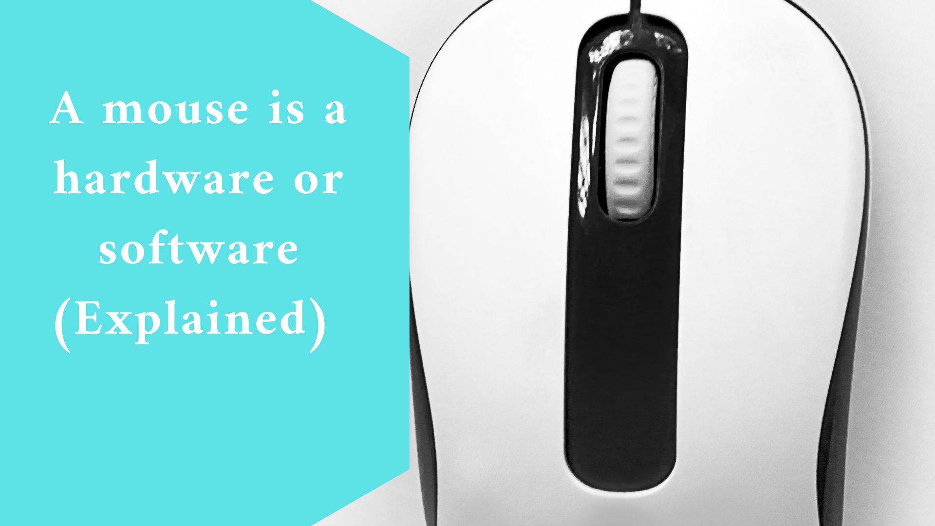 A mouse is a hardware or software (Explained)